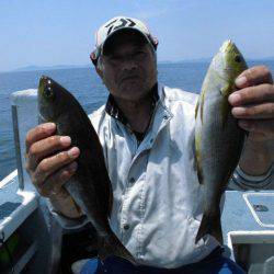 大進丸(愛知) 釣果