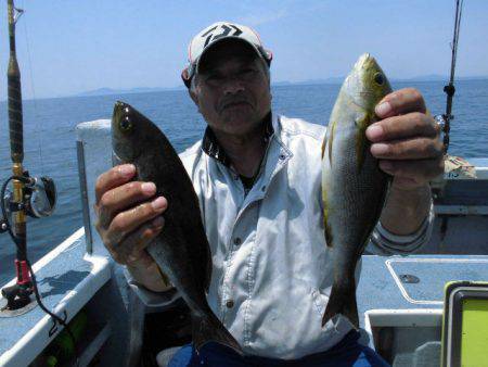 大進丸(愛知) 釣果
