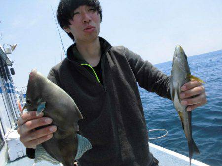 大進丸(愛知) 釣果