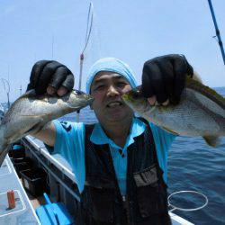 大進丸(愛知) 釣果