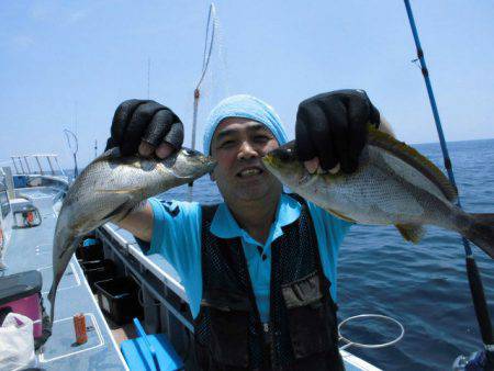 大進丸(愛知) 釣果