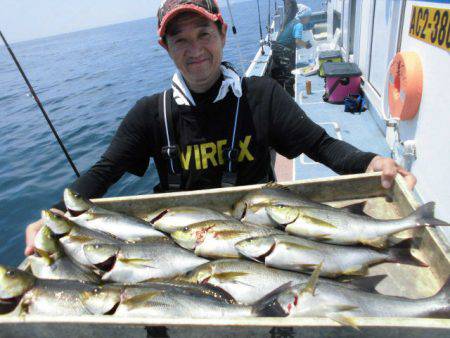大進丸(愛知) 釣果