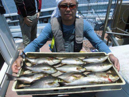 大進丸(愛知) 釣果