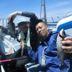 大進丸(愛知) 釣果