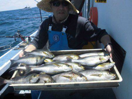 大進丸(愛知) 釣果