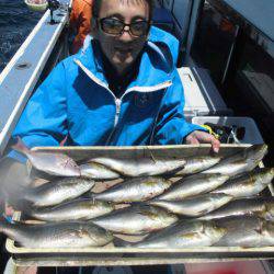 大進丸(愛知) 釣果