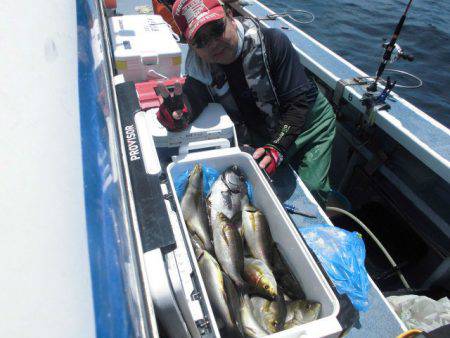 大進丸(愛知) 釣果