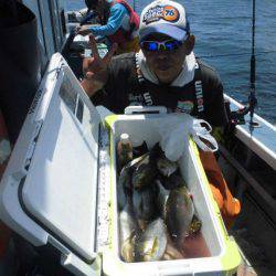 大進丸(愛知) 釣果