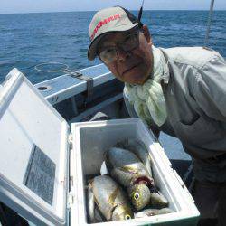 大進丸(愛知) 釣果