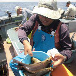 大進丸(愛知) 釣果