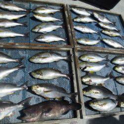 大進丸(愛知) 釣果