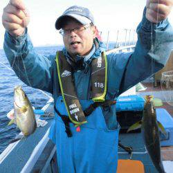 大進丸(愛知) 釣果