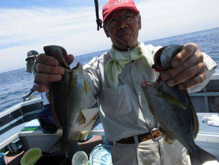 大進丸(愛知) 釣果
