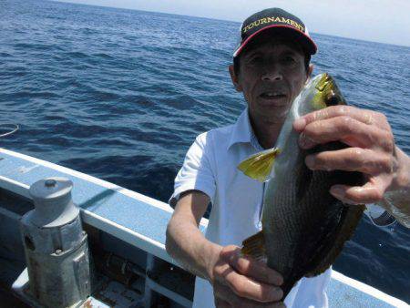大進丸(愛知) 釣果