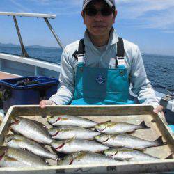 大進丸(愛知) 釣果