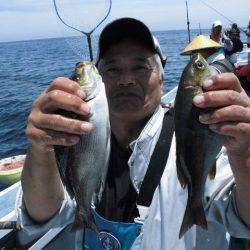 大進丸(愛知) 釣果