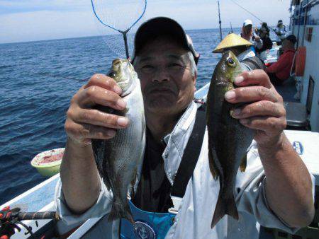 大進丸(愛知) 釣果