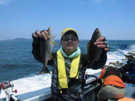 大進丸(愛知) 釣果