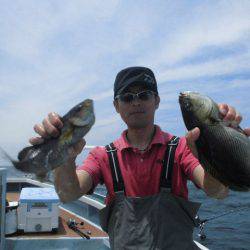 大進丸(愛知) 釣果