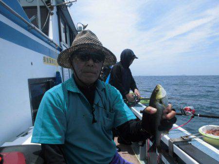 大進丸(愛知) 釣果