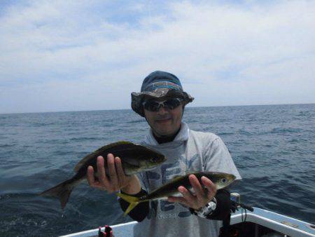 大進丸(愛知) 釣果