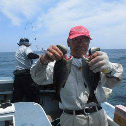 大進丸(愛知) 釣果