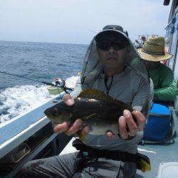 大進丸(愛知) 釣果