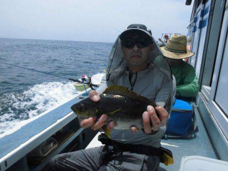 大進丸(愛知) 釣果