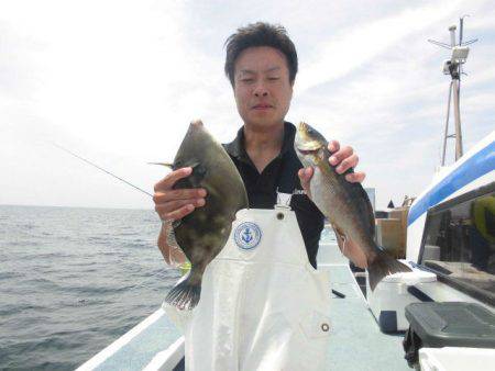 大進丸(愛知) 釣果