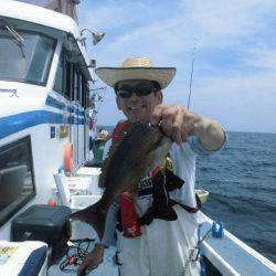 大進丸(愛知) 釣果