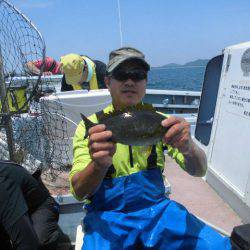 大進丸(愛知) 釣果
