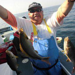 大進丸(愛知) 釣果