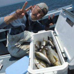 大進丸(愛知) 釣果