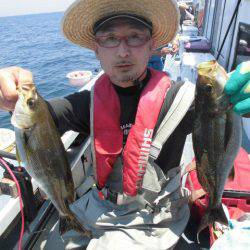 大進丸(愛知) 釣果