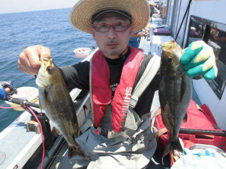 大進丸(愛知) 釣果