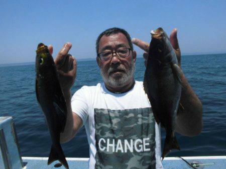 大進丸(愛知) 釣果