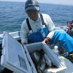 大進丸(愛知) 釣果