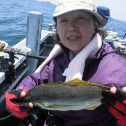 大進丸(愛知) 釣果