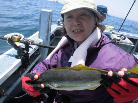 大進丸(愛知) 釣果