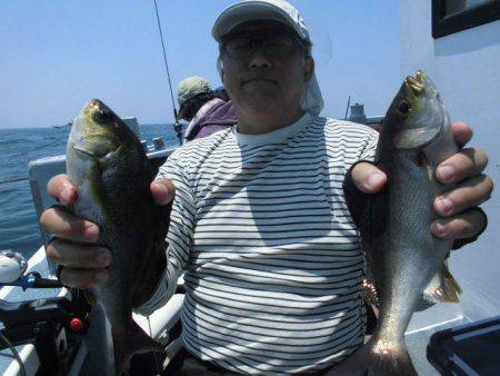 大進丸(愛知) 釣果