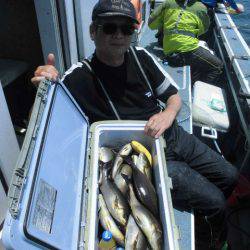 大進丸(愛知) 釣果