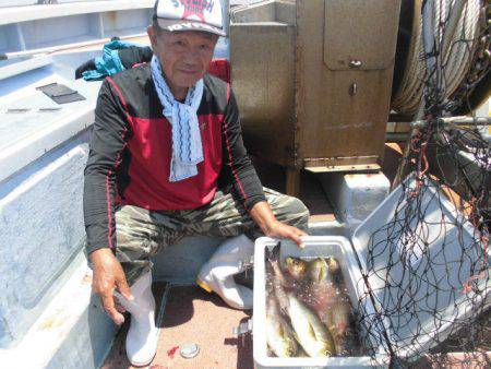 大進丸(愛知) 釣果