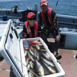 大進丸(愛知) 釣果