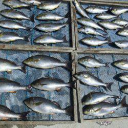 大進丸(愛知) 釣果