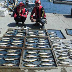 大進丸(愛知) 釣果