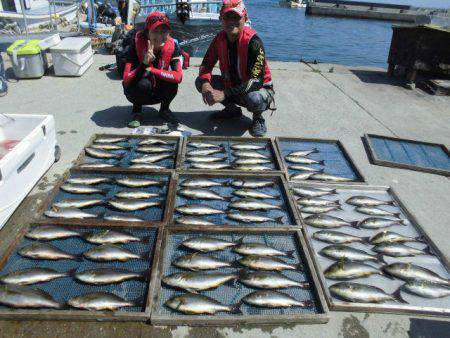 大進丸(愛知) 釣果