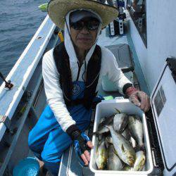 大進丸(愛知) 釣果