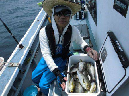 大進丸(愛知) 釣果