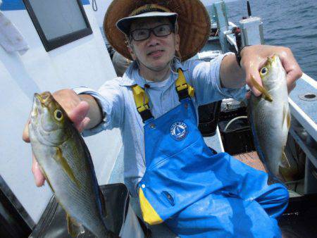 大進丸(愛知) 釣果