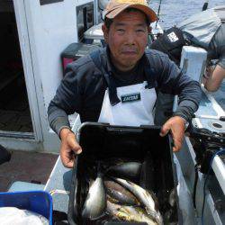 大進丸(愛知) 釣果